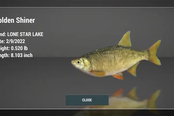 Detailansicht eines gefangenen Fisches mit Fangdaten aus Fishing Planet